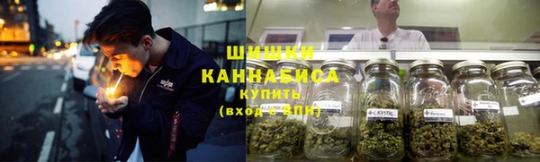 прущие грибы Белокуриха
