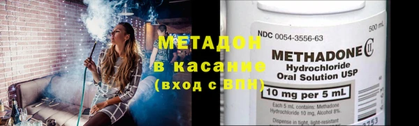 прущие грибы Белокуриха