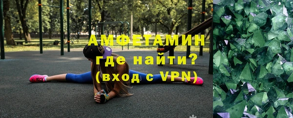 прущие грибы Белокуриха