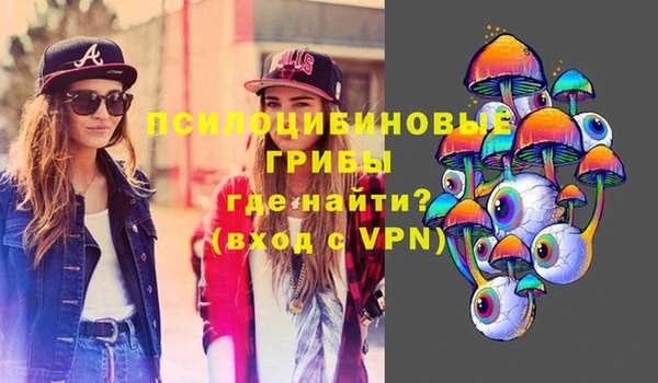 прущие крисы Белоозёрский