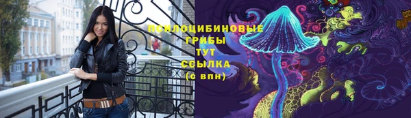 прущие грибы Белокуриха