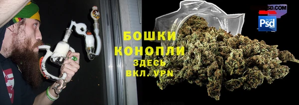 прущие грибы Белокуриха
