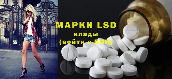 прущие грибы Белокуриха